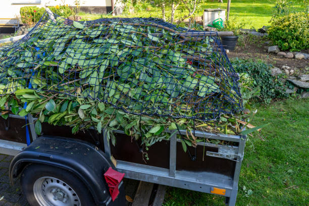 Best Shed Removal  in Columbia City, OR